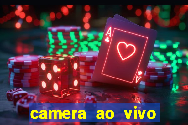 camera ao vivo porto de galinhas